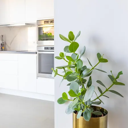 Prachtig Aan Zee Met 2 Terrassen - 4p Appartement *